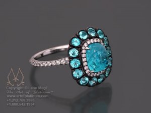 Ring Halo Cluster r1293-229.jpg