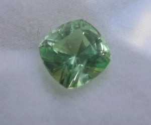 Merelani Mint 2.jpg
