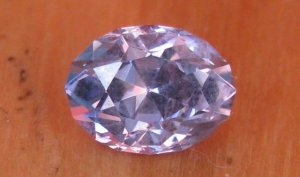 periwinkle4.JPG