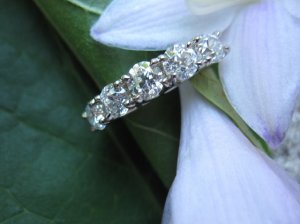 IMG_4955.JPG