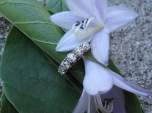 IMG_4956.JPG