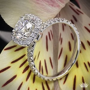 custom-halo-fishtail-pave-diamond-engagement-ring-by-whiteflash-32328_g.jpg