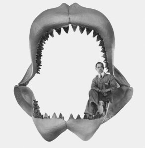 carcharodon_megalodon.jpg