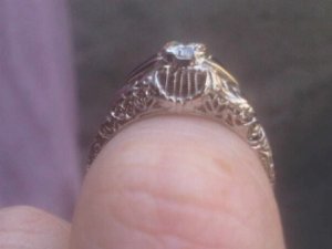 img00295-20120616-1150.jpg