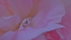 june_021.jpg