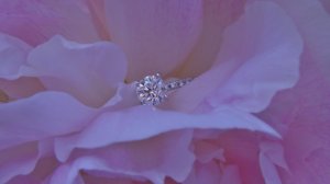 june_022.jpg