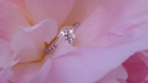 june_024.jpg