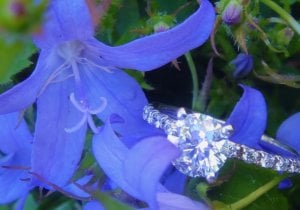 june_045.jpg