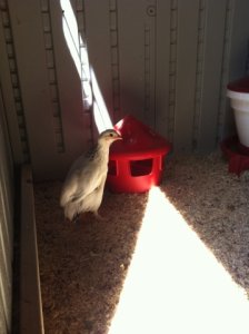photo_9_.jpg
