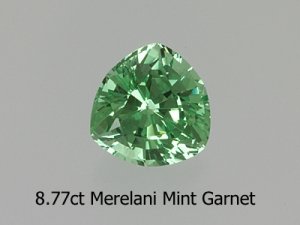 lg-garnetmerelaniminttrillion_8_77ct.jpg