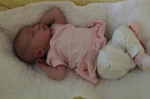 img_0635.jpg
