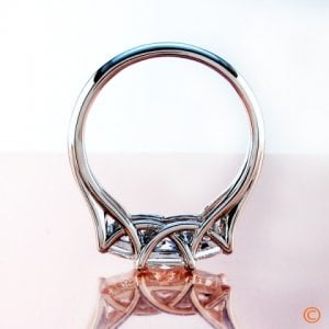 3prtrellis1glam.jpg