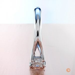 3prtrellisglam3.jpg