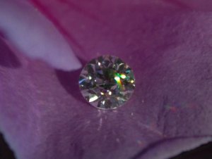 img_4309.jpg