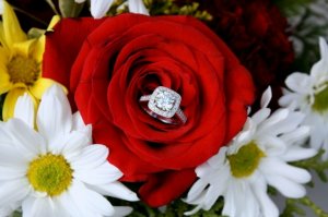 diamond_ring_in_flower_nice___.jpg