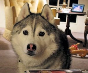 2charlie_3-12.jpg