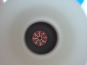 2012-07-12_3.jpg