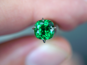 chromenastertium_016.png