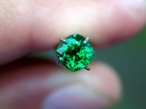 chromenastertium_018.png