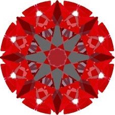5573.jpg