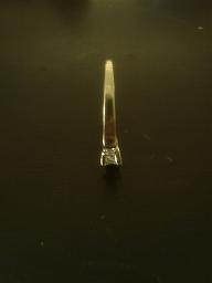 ringupright2.jpg ringupright2.jpg