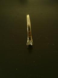 ringupright1.jpg
