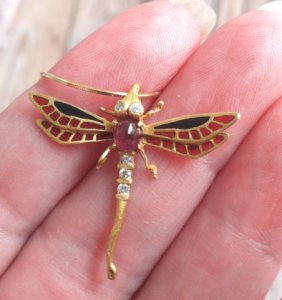 dragonfly2.jpg