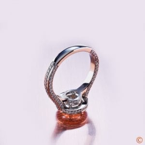 1888_briangavin_custompavehalo4b_071712.jpg