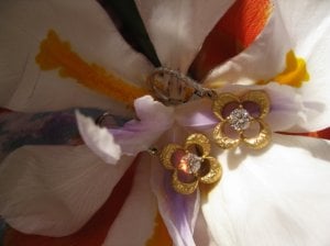 img_1783.jpg