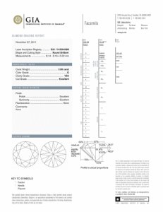 g-vs2-ideal-cut-2-1.jpg