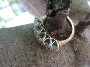 img_4980.jpg
