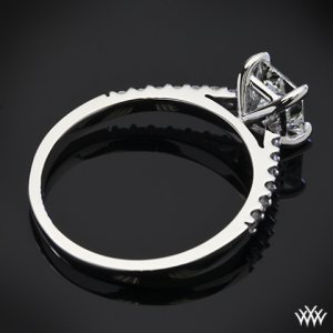 petite-open-cathedral-diamond-engagement-ring-by-whiteflash-33018_b__1_.jpg