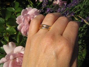 img_3627_26.jpg