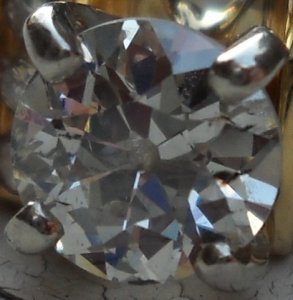 chubby_close-up_in_ring.jpg