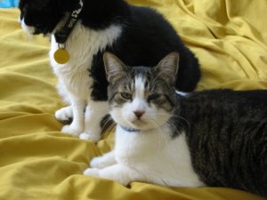 img_7116.jpg