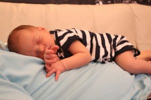 img_9252.jpg
