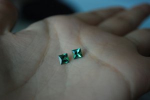 dsc_0232.jpg