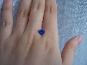 100_6372.jpg
