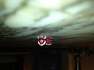photo-23.jpg