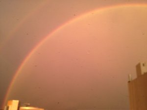 rainbow_1.jpg
