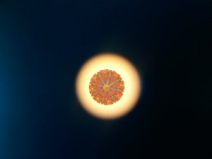 2012-08-09_1.jpg