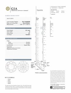 g-si1-ideal-cut-2.jpg g-si1-ideal-cut-2.jpg