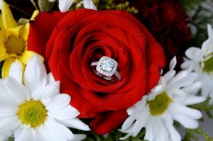 diamond_ring_in_flower_nice___1.jpg