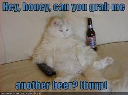 beercat.jpeg