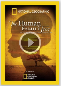 screen_shot_2012-08-27_at_8.png