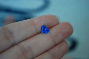 dsc_3.jpg
