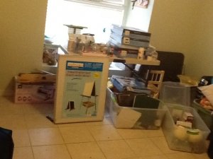 imageuploadedbytapatalk_hd1346504160.jpg