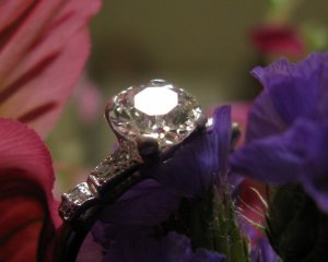 img_1160.jpg