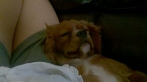 2011-08-02_13-17-54_629.jpg