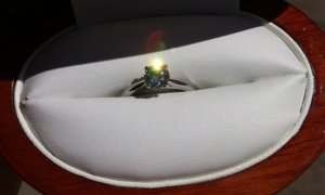 photo_99.jpg